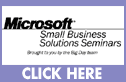 MS Business Solutions Seminar