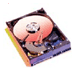 Western Digital Caviar SE 80GB Hard Drive