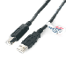 StarTech.com High Speed Certified USB 2.0 Cable, Black, 6 feet, Type A USB Male to Type B USB Male
