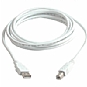 Cables To Go 6-Foot Male A/B USB 2.0 Cable