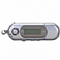Power Up 2GB MP3/WMA Player and USB Drive Silver